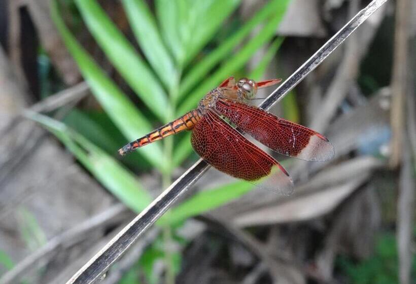 צימר Rnv Eco Resort Bungalows