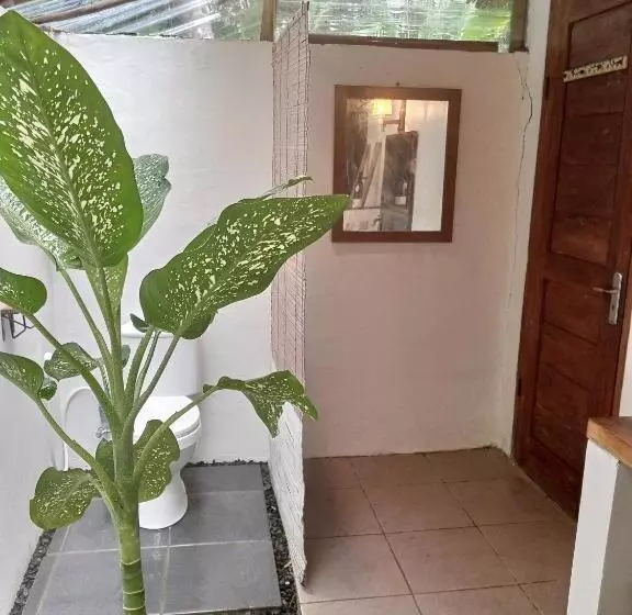 Bed and Breakfast Rnv Eco Resort Bungalows