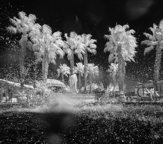 فندق The O Spa + Resort, Adults Only