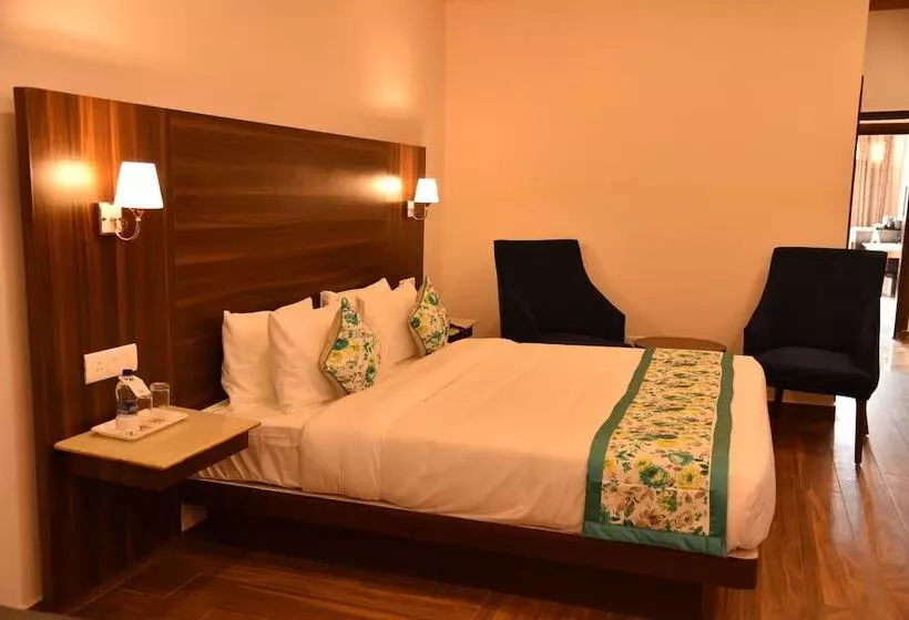 Mastiff Hotel Palampur