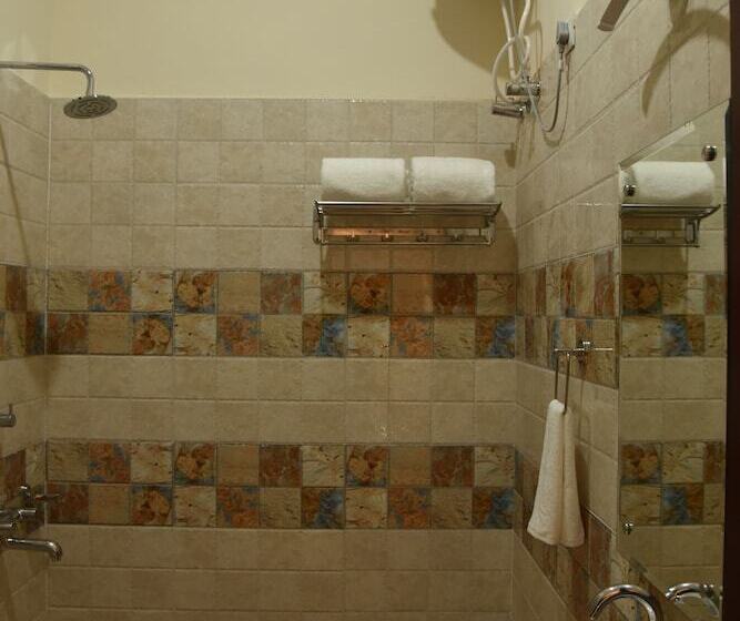 Mastiff Hotel Palampur