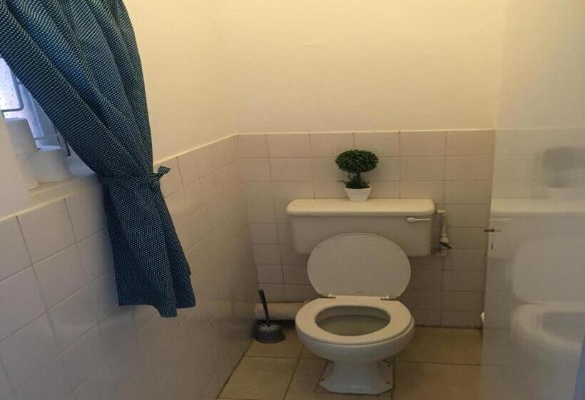 Pension Flipflops And Treetops