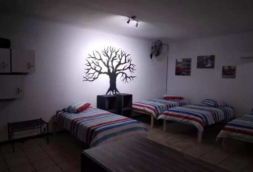 Majatalo Flipflops And Treetops