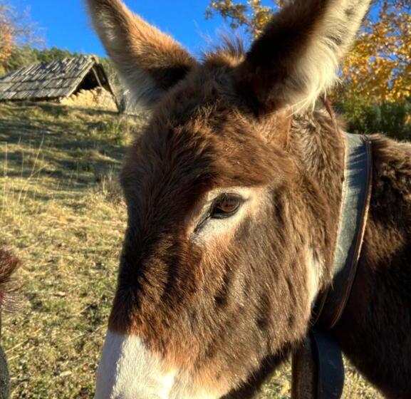 민박 Gite Le Pelens