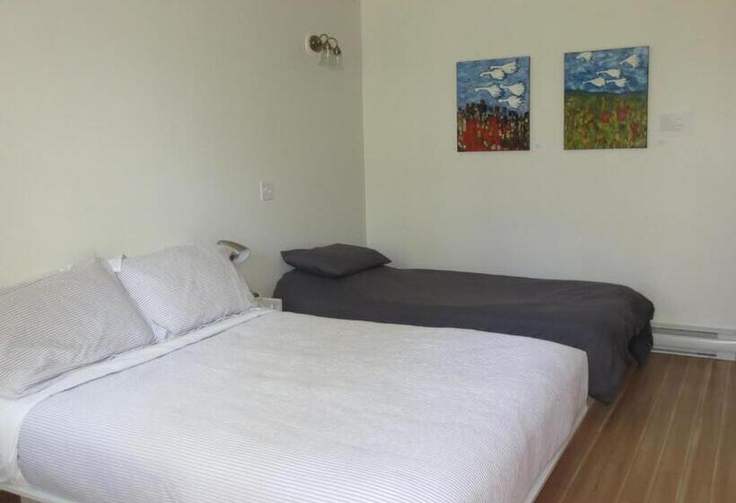 호텔 Auberge île Du Repos