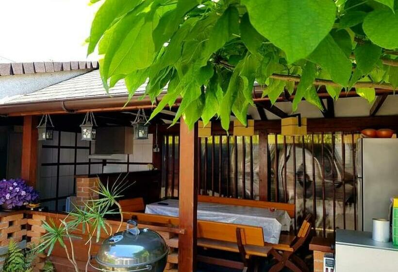 Pensiunea Casa Blanca