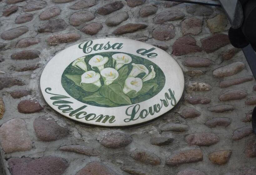 فندق Bajo El Volcan