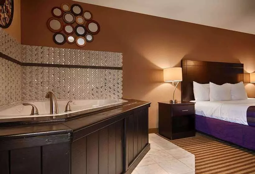 酒店 Best Western Bayou Inn