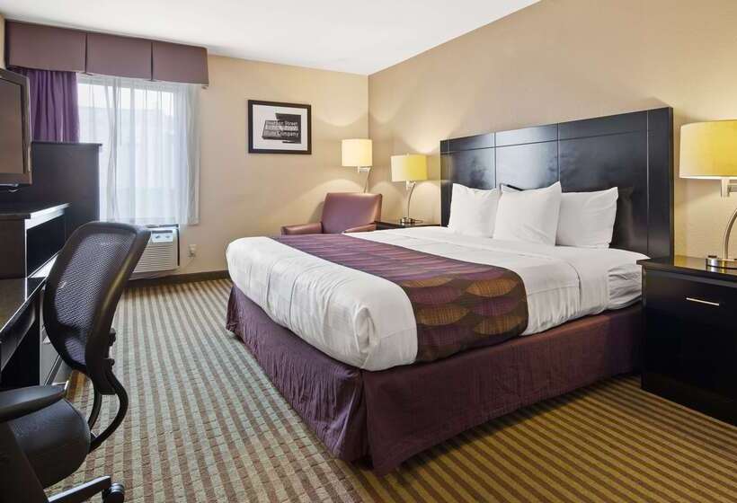 酒店 Best Western Bayou Inn