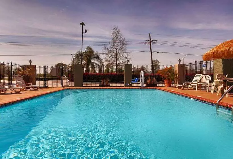 酒店 Best Western Bayou Inn