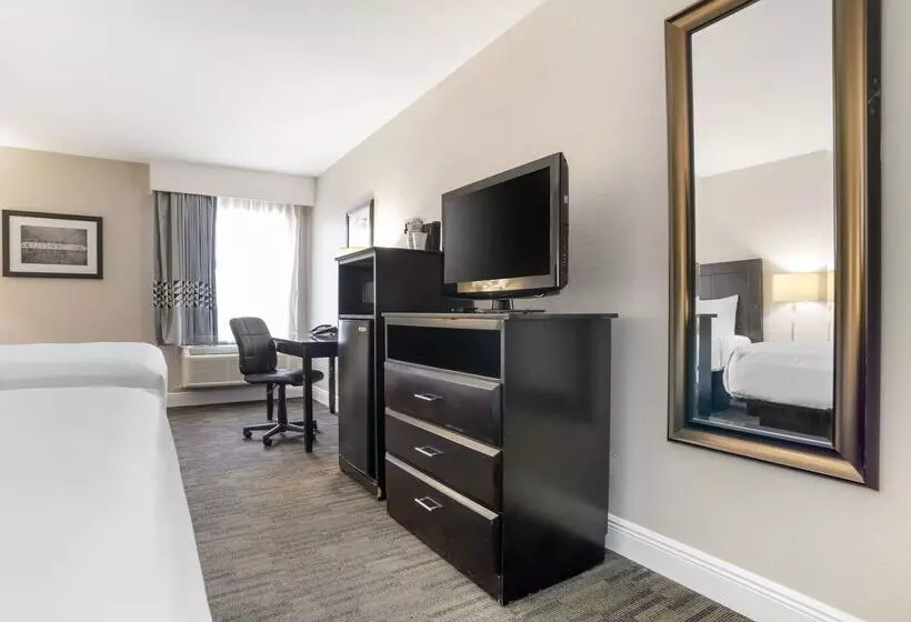 酒店 Best Western Bayou Inn