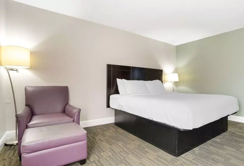 酒店 Best Western Bayou Inn