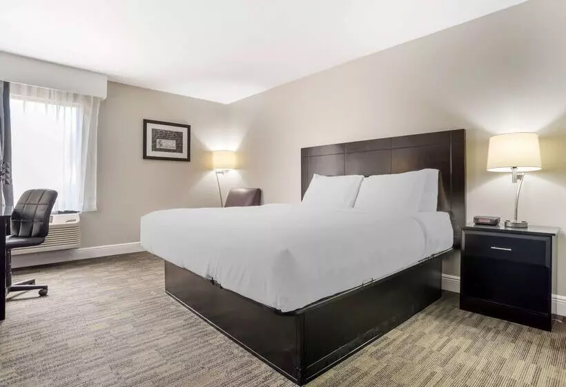 酒店 Best Western Bayou Inn