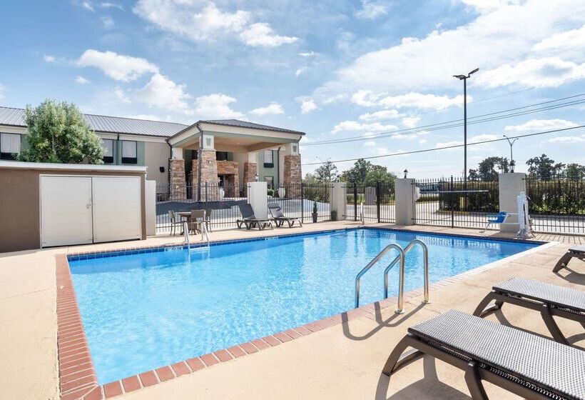 酒店 Best Western Bayou Inn