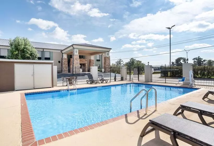 酒店 Best Western Bayou Inn