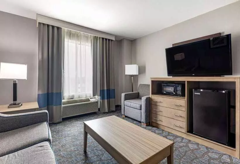 Отель Comfort Inn & Suites Mansfield
