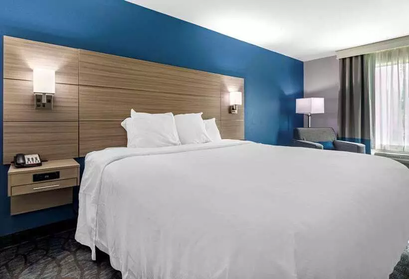 Отель Comfort Inn & Suites Mansfield