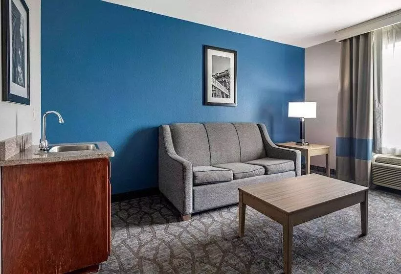 Отель Comfort Inn & Suites Mansfield