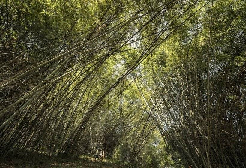 Szálloda Four Seasons Tented Camp Golden Triangle