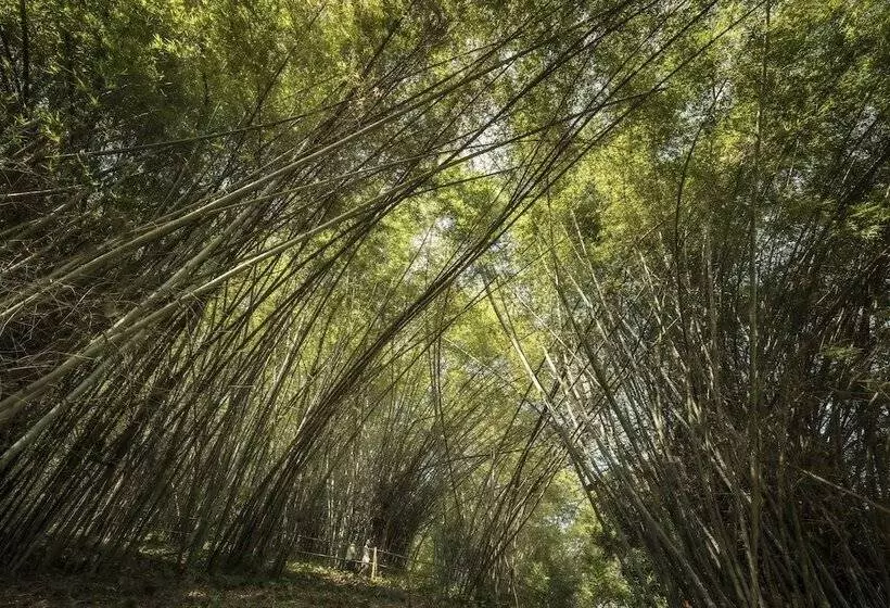 Hotel Four Seasons Tented Camp Golden Triangle