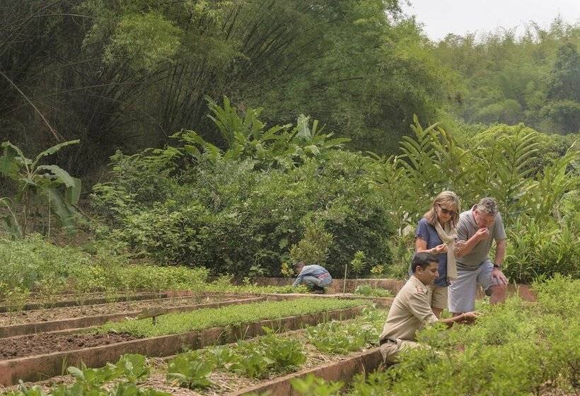 Szálloda Four Seasons Tented Camp Golden Triangle