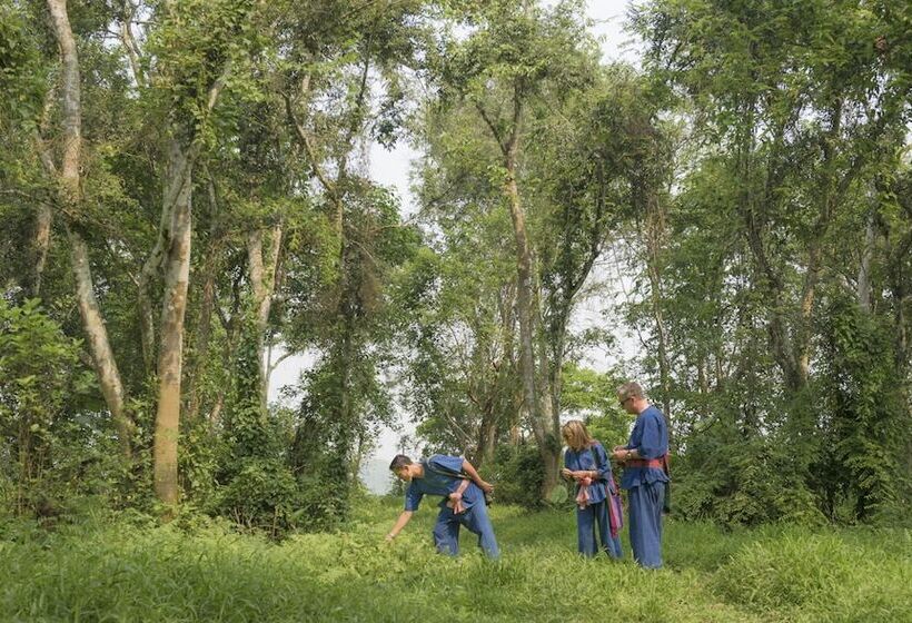 Szálloda Four Seasons Tented Camp Golden Triangle
