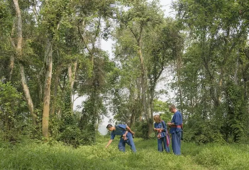 Hotel Four Seasons Tented Camp Golden Triangle