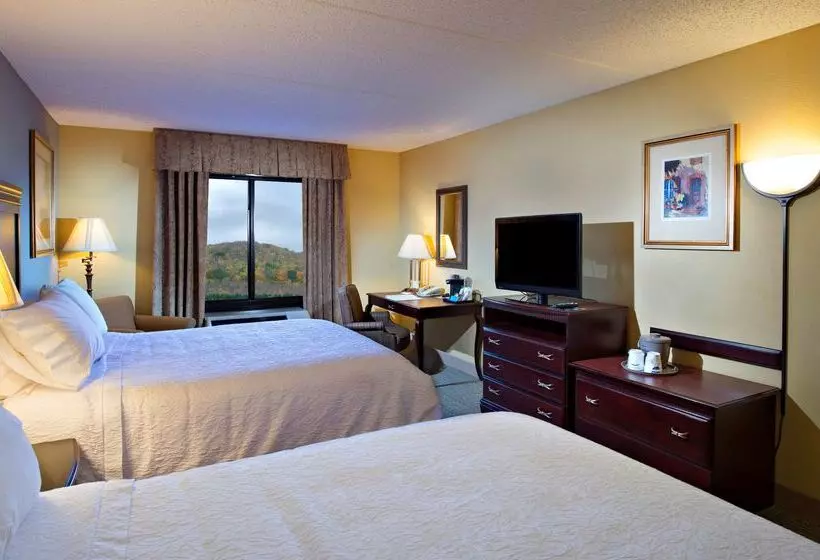 فندق Hampton Inn Bennington