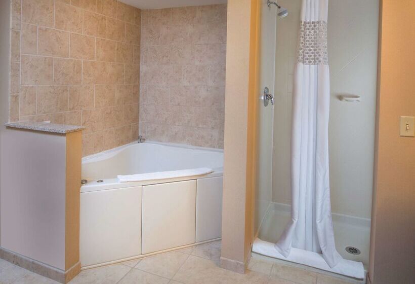 ホテル Hampton Inn Bennington