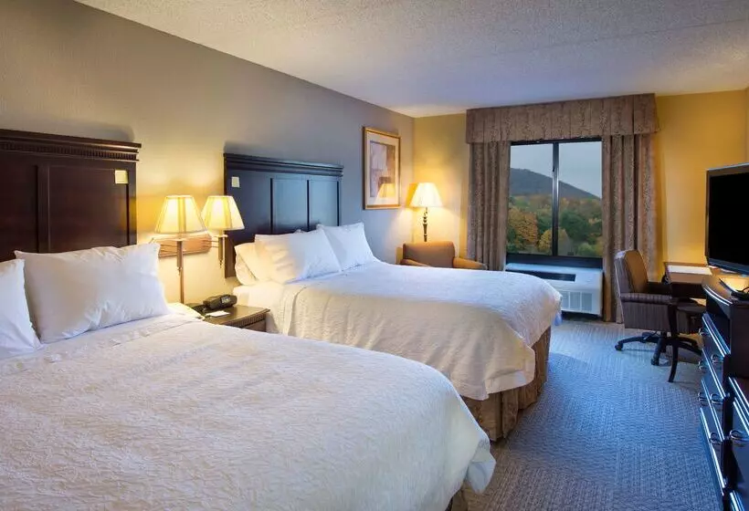 فندق Hampton Inn Bennington