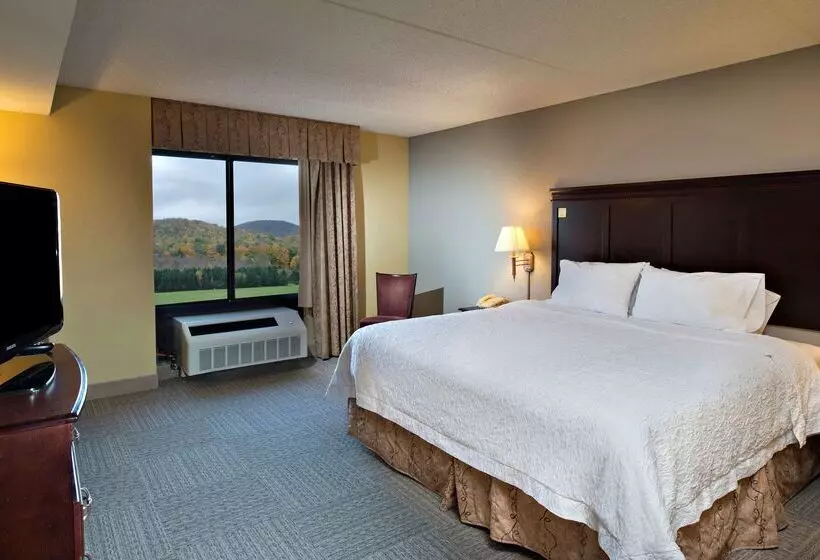 فندق Hampton Inn Bennington