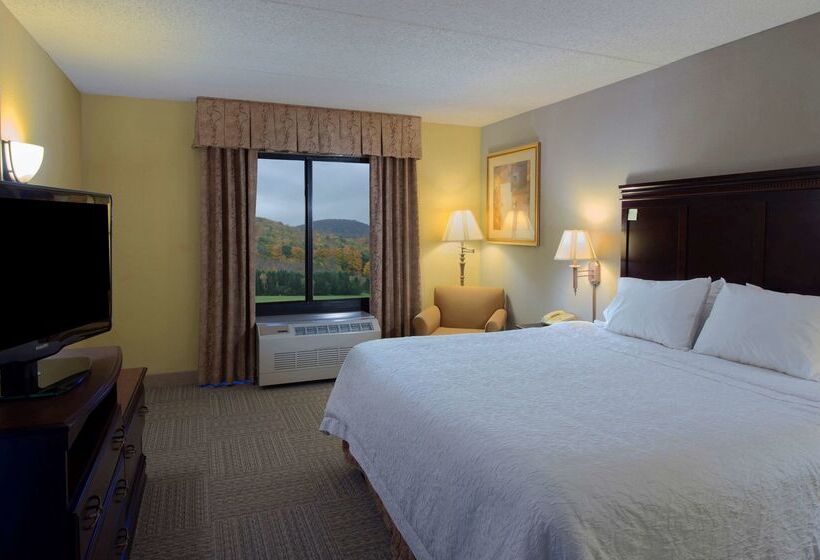 ホテル Hampton Inn Bennington