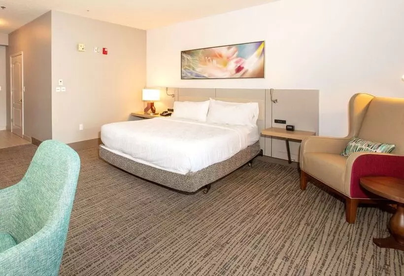 هتل Hilton Garden Inn Jacksonville Airport