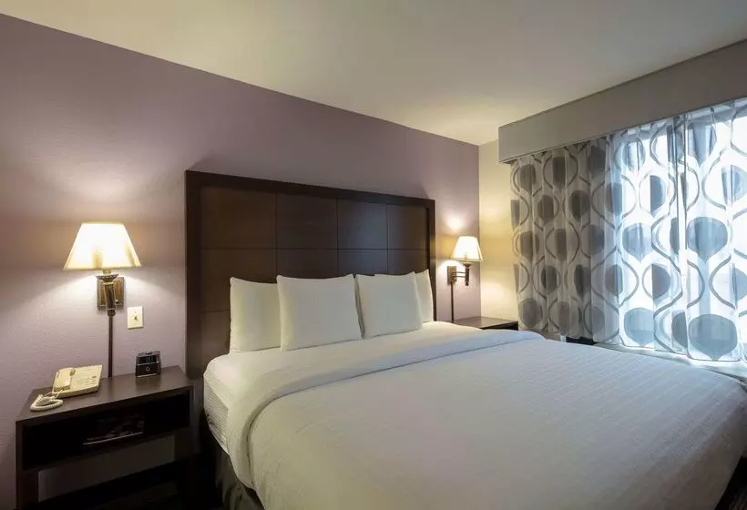 هتل La Quinta Inn & Suites By Wyndham Springfield Airport Plaza