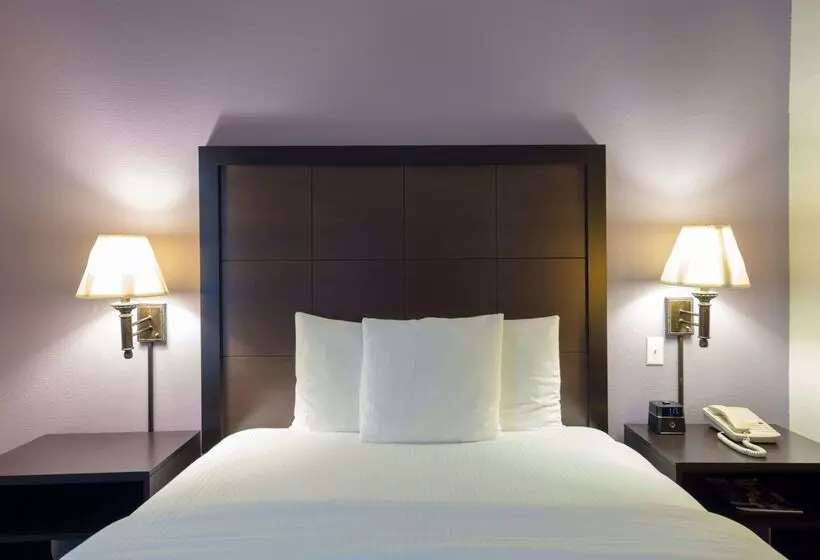 هتل La Quinta Inn & Suites By Wyndham Springfield Airport Plaza