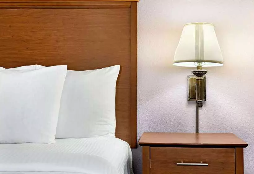 هتل La Quinta Inn & Suites By Wyndham Springfield Airport Plaza