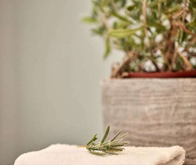 Boho Private Luxury Suites