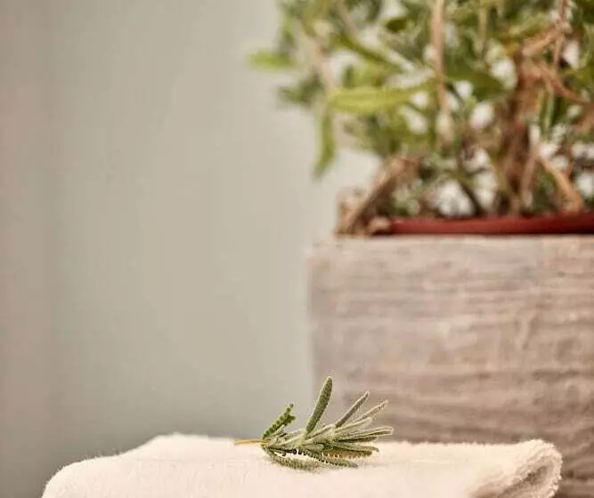 Boho Private Luxury Suites