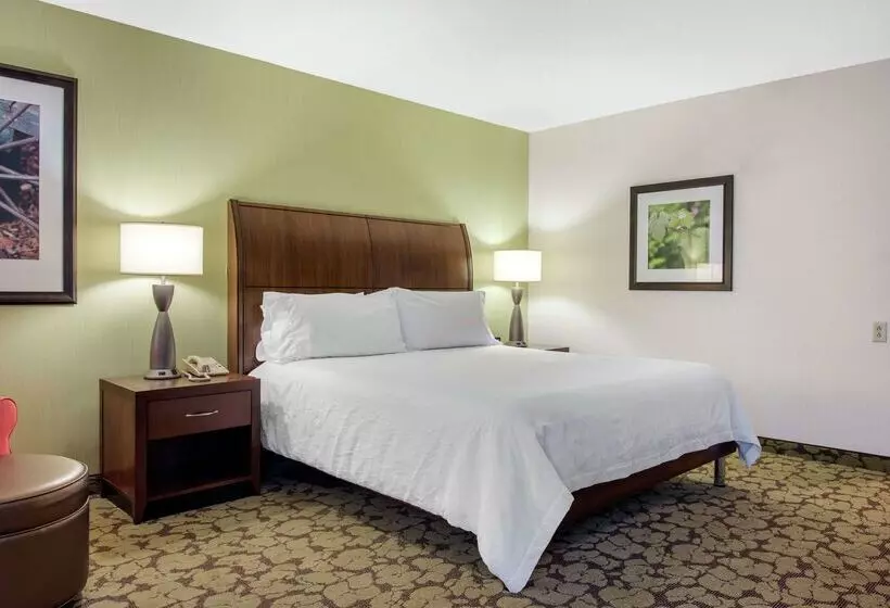 Отель Hilton Garden Inn Portland Airport