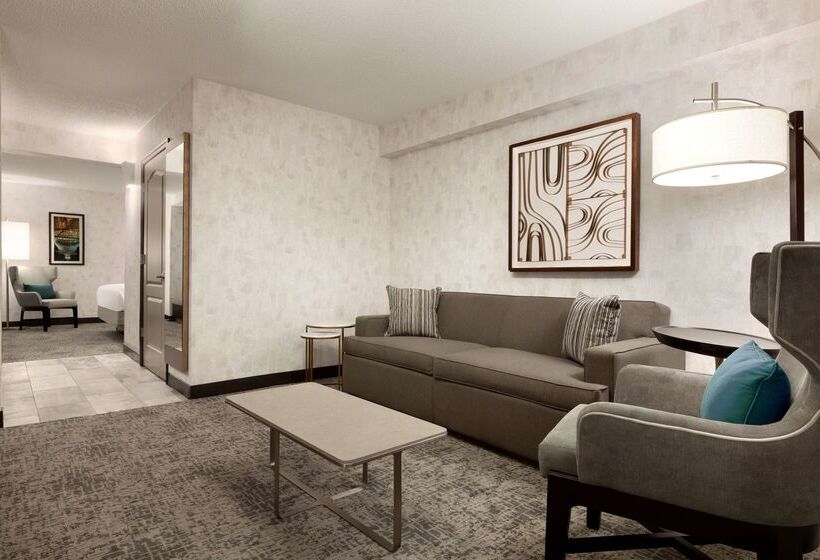 فندق Hilton Garden Inn Washington Dc Downtown