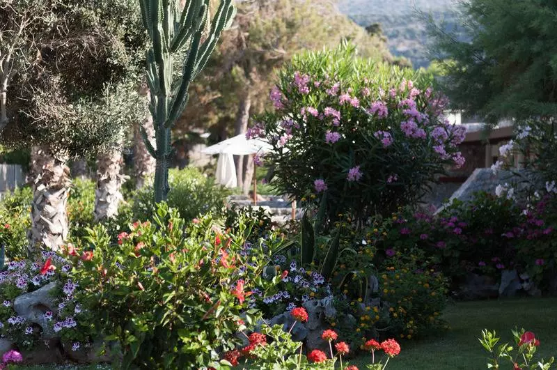 ホテル Ikaros Beach, Luxury Resort & Spa   Adults Only