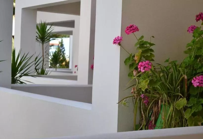 Отель Palladion