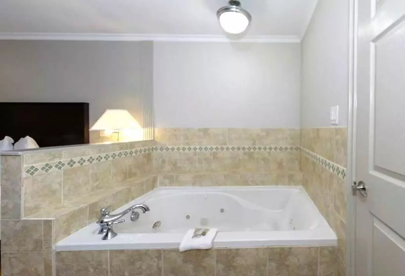 Szálloda Red Roof Inn Arlington   Entertainment District