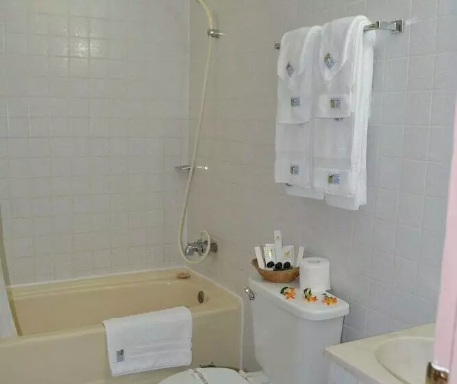 هتل West Plaza Desekel