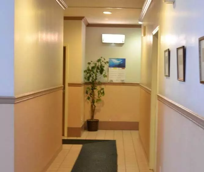 هتل West Plaza Desekel