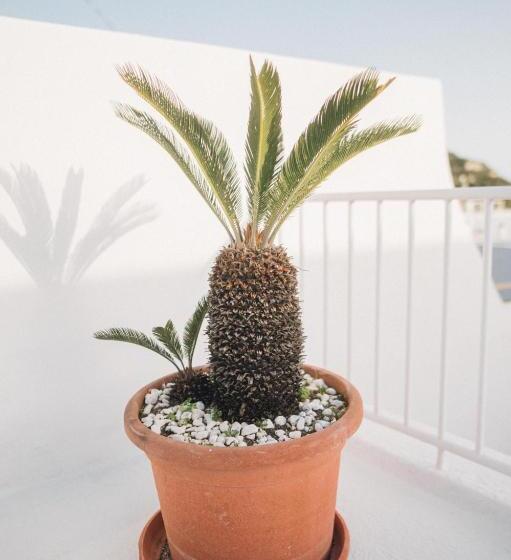 فندق Villa Maria