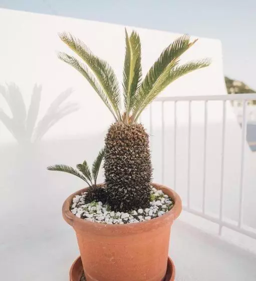 ホテル Villa Maria