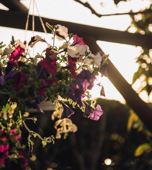 فندق Villa Maria