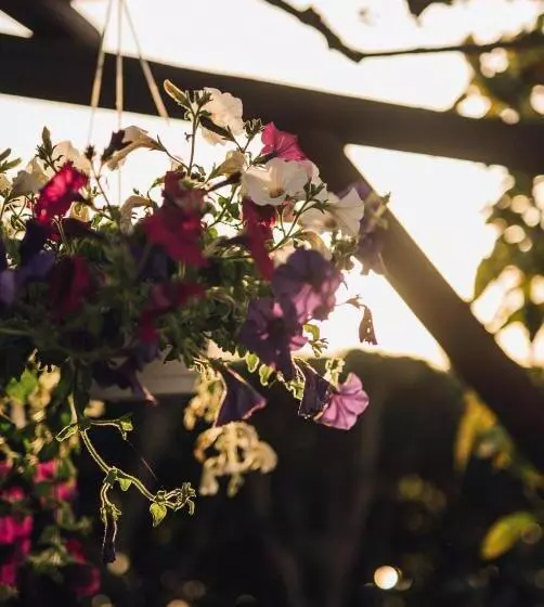 ホテル Villa Maria