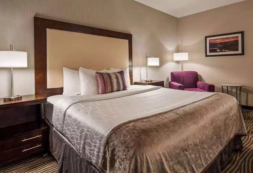 Best Western Plus Hotel At The Convention Center